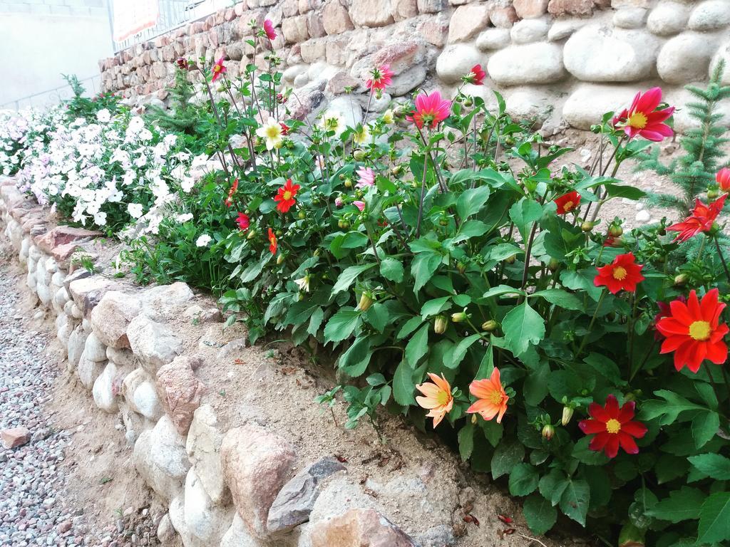 Guest House Arbat 乔尔蓬阿塔 外观 照片