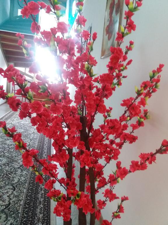 Guest House Arbat 乔尔蓬阿塔 外观 照片