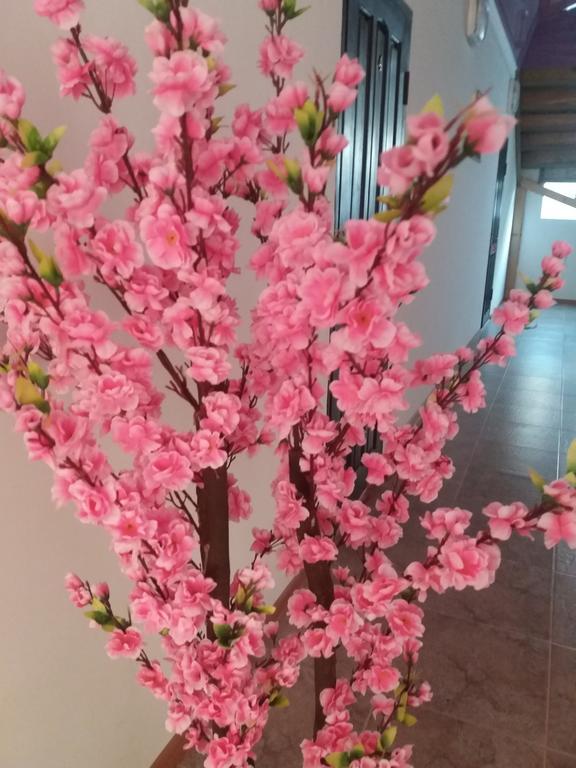 Guest House Arbat 乔尔蓬阿塔 外观 照片